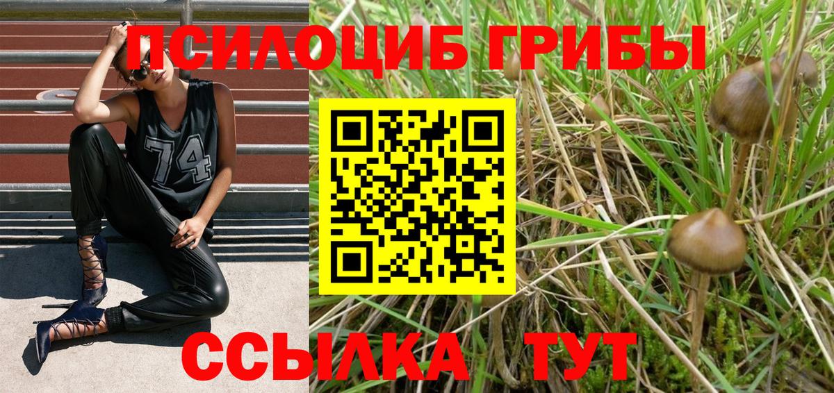 Псилоцибиновые грибы Magic Shrooms  Вход с VPN  Унеча  Псилоцибиновые грибы Magic Shrooms 