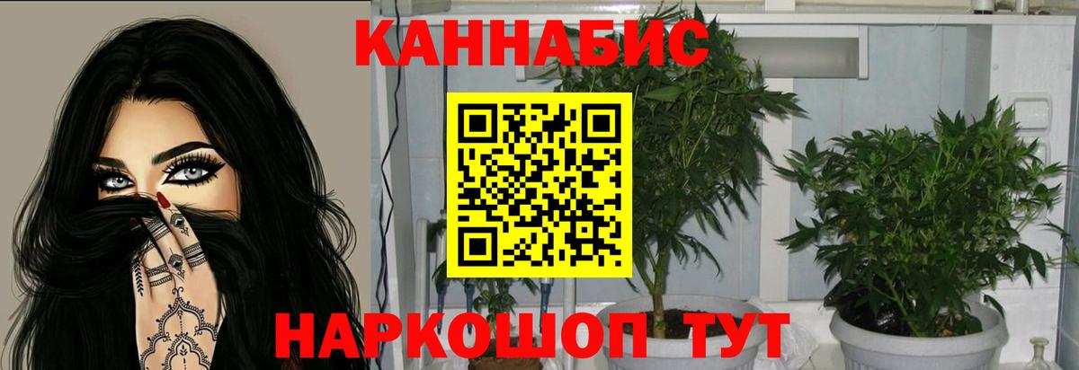 Бошки Шишки семена Унеча